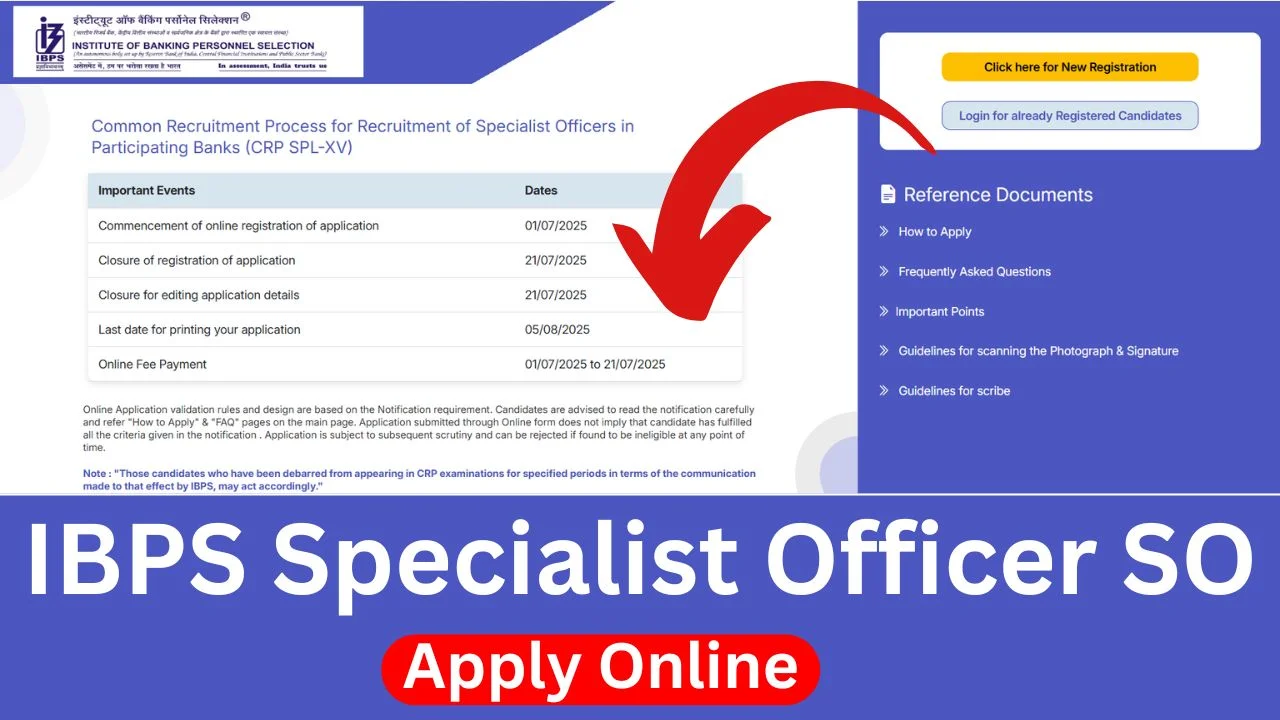 IBPS Specialist Officer SO Recruitment 2025